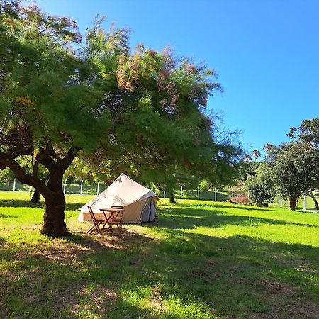 Bearsu Nature Almoxarife Horta  Dış mekan fotoğraf