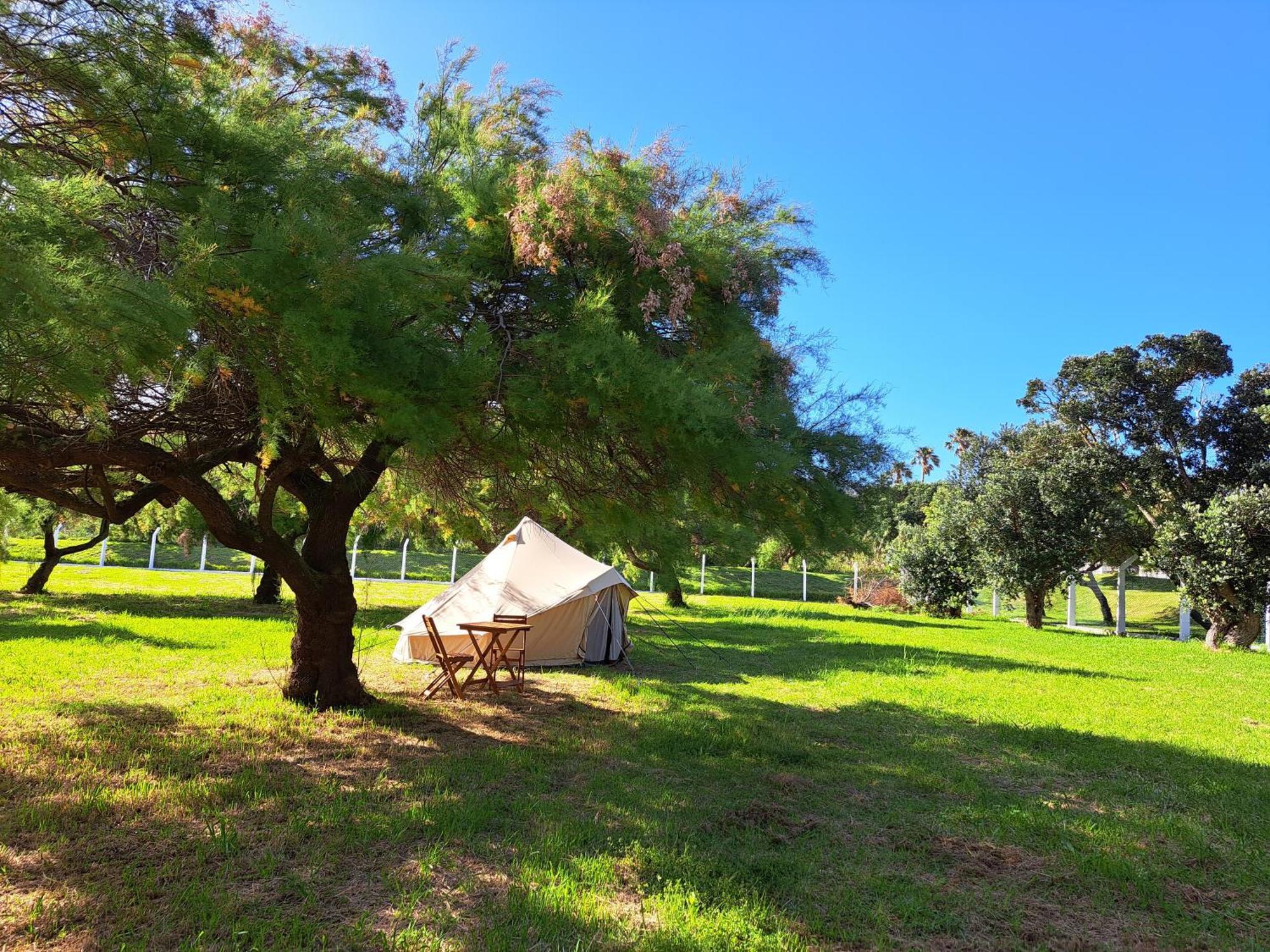 Bearsu Nature Almoxarife Horta  Dış mekan fotoğraf